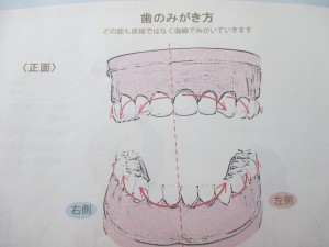 歯１