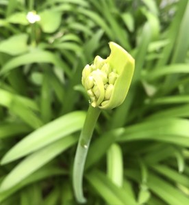 S__4907012_0