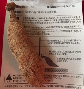 image0