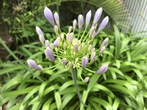 6月16日