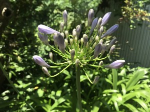 6月17日