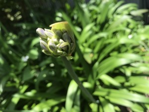 6月7日