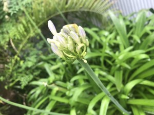 6月１０日午前