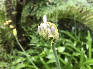 ６月９日午後