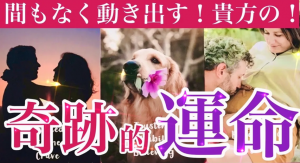 スクリーンショット 2025-11-12 195930