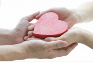 スクリーンショット 2025-11-26 122451