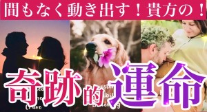 Yちゃん運命ラメ